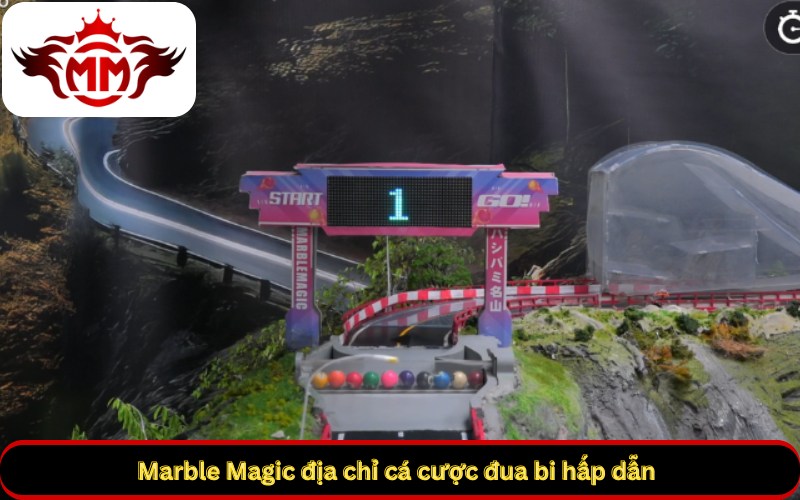 Marble Magic địa chỉ cá cược đua bi hấp dẫn