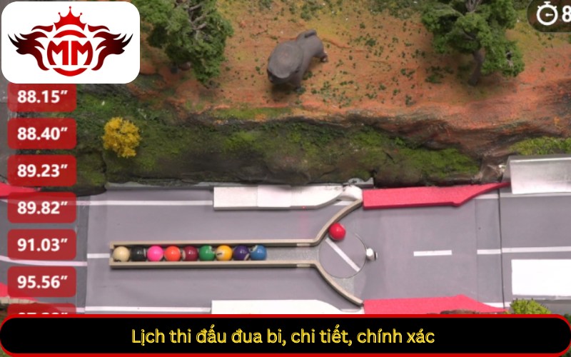 Lịch thi đấu đua bi, chi tiết, chính xác